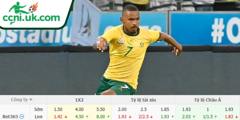 Chi tiết kèo Mexico vs Nam Phi (02h00 ngày 12/06)
