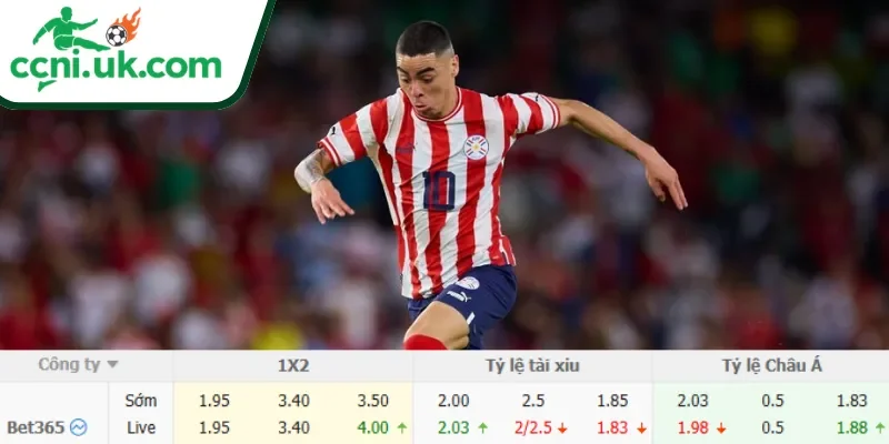 Chi tiết kèo Mỹ vs Paraguay (08h00 ngày 13/06)