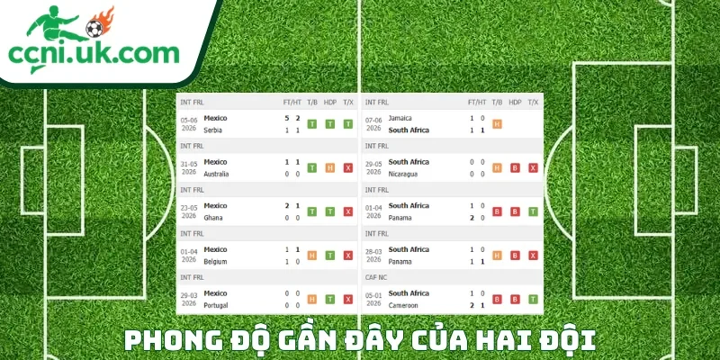Phong độ của mỗi CLB trước trận đấu Mexico vs Nam Phi